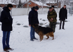 Студентам ЮФУ провели экскурсию по таганрогской базе ОМОН Студентам ЮФУ провели экскурсию по таганрогской базе ОМОН
