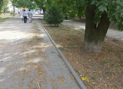 Долгожданный покос травы разочаровал таганрожца Долгожданный покос травы разочаровал таганрожца