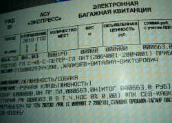 Песику Каштанчику из Таганрога выписали отдельный ж/д билет Песику Каштанчику из Таганрога выписали отдельный ж/д билет