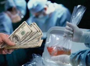 Осудили таганрожцев, попытавшихся продать знакомого на органы Осудили таганрожцев, попытавшихся продать знакомого на органы