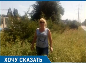 Травой зарос вьезд в Таганрог - на «радость» гостям и туристам Травой зарос вьезд в Таганрог - на «радость» гостям и туристам