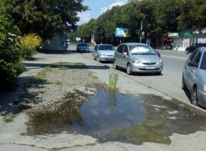 В Таганроге лужа посреди тротуара превратилась в озеро, где пророс камыш В Таганроге лужа посреди тротуара превратилась в озеро, где пророс камыш
