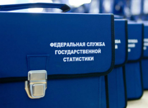 Таганрожцев перепишут пробно с помощью портала госуслуг Таганрожцев перепишут пробно с помощью портала госуслуг