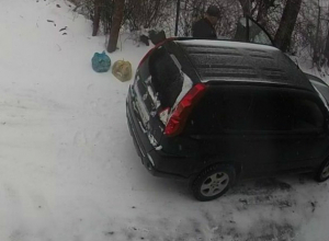 В Таганроге нашли «свинку», которая выбрасывает мусор, где понравится В Таганроге нашли «свинку», которая выбрасывает мусор, где понравится