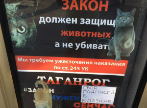 В Таганроге собирают подписи под коллективным обращением к Путину В Таганроге собирают подписи под коллективным обращением к Путину
