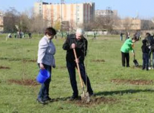 2000 голосов отделяет Таганрог от получения заветной «Аллеи Славы» 2000 голосов отделяет Таганрог от получения заветной «Аллеи Славы»