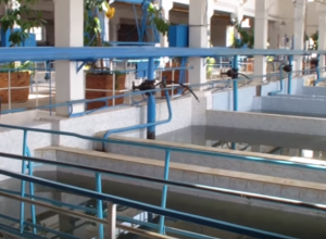 Вода с запахом и привкусом болота пришла в Таганрог из Ростова Вода с запахом и привкусом болота пришла в Таганрог из Ростова