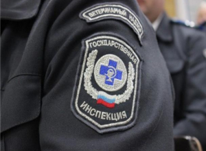 Под Таганрогом житель вызвал ветеринаров и получил штраф Под Таганрогом житель вызвал ветеринаров и получил штраф