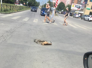 В глубокой яме посреди дороги таганрожцы подозревают очередной обвал коллектора В глубокой яме посреди дороги таганрожцы подозревают очередной обвал коллектора