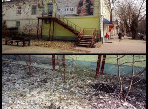 Жители Таганрога поймали злостных нарушительниц экологического баланса Жители Таганрога поймали злостных нарушительниц экологического баланса