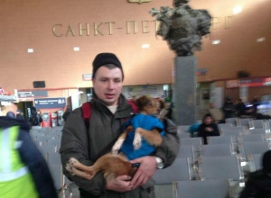 Песик Каштанчик, на операцию которого жертвовали деньги читатели Блокнота, из Таганрога прибыл в Санкт-Петербург Песик Каштанчик, на операцию которого жертвовали деньги читатели Блокнота, из Таганрога прибыл в Санкт-Петербург