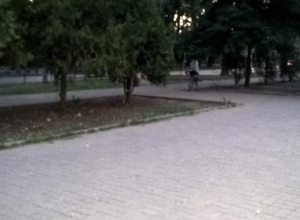 Таганрогский малый бизнес научился мести дороги Таганрогский малый бизнес научился мести дороги