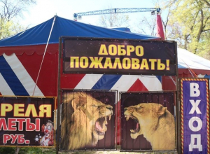 Приехавший в Таганрог цирк сливает нечистоты прямо в парк Приехавший в Таганрог цирк сливает нечистоты прямо в парк