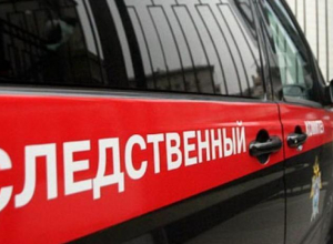 Таганрожец убил свою пожилую мать в пылу ссоры Таганрожец убил свою пожилую мать в пылу ссоры