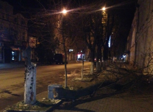 Сбитое «насмерть» лихим водителем ВАЗа дерево едва не придавило прохожего с ребенком в Таганроге Сбитое «насмерть» лихим водителем ВАЗа дерево едва не придавило прохожего с ребенком в Таганроге