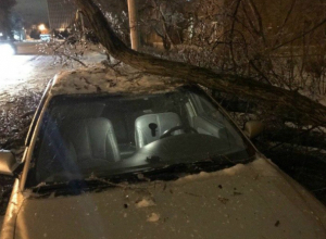 Старое, обледеневшее дерево сломалось и упало на машину в Таганроге Старое, обледеневшее дерево сломалось и упало на машину в Таганроге