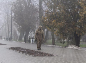 Из аномального тумана в Таганроге вышло чудище Из аномального тумана в Таганроге вышло чудище