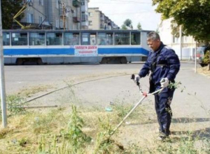 Первые лица Таганрога лично вышли на борьбу с сорной травой Первые лица Таганрога лично вышли на борьбу с сорной травой