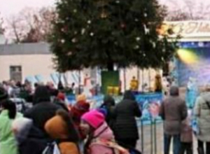 В Таганроге открыли главную елку В Таганроге открыли главную елку