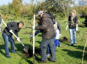 В Таганроге прошел День древонасаждения В Таганроге прошел День древонасаждения