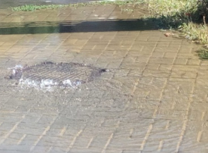 И вновь бежит поток питьевой воды по улице Дзержинского в Таганроге И вновь бежит поток питьевой воды по улице Дзержинского в Таганроге