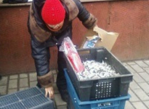 Штрафы за незаконную торговлю в Таганроге могут возрасти Штрафы за незаконную торговлю в Таганроге могут возрасти