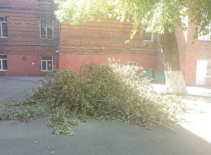 Горожанин возмутился, почему на территории школы в Таганроге валяются ветки Горожанин возмутился, почему на территории школы в Таганроге валяются ветки