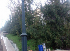 Воскресный «рьяный труд» благоустроителей не понравился горожанам Воскресный «рьяный труд» благоустроителей не понравился горожанам
