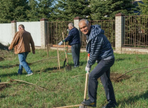Северный поселок в Таганроге будет краше, там посадили клены Северный поселок в Таганроге будет краше, там посадили клены