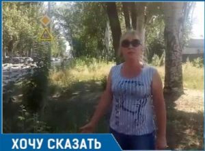 Амброзия у школы №24 в Таганроге разгневала горожанку, на детской площадке по ул. Свобода такая же история Амброзия у школы №24 в Таганроге разгневала горожанку, на детской площадке по ул. Свобода такая же история