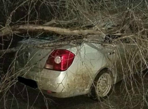 Два автомобиля пострадали от стихии в Таганроге Два автомобиля пострадали от стихии в Таганроге
