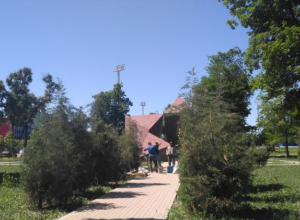 В Таганроге с благоустройством сквера «Памяти» опять промахнулись В Таганроге с благоустройством сквера «Памяти» опять промахнулись