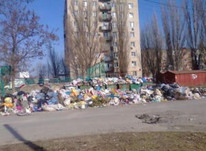 Власти города пересчитали свалки в центре Таганрога Власти города пересчитали свалки в центре Таганрога