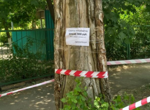 В Таганроге «на глазах» растет новая мусорная куча В Таганроге «на глазах» растет новая мусорная куча