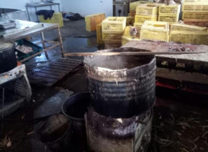 Почти тонну незаконной куриной продукции изъяли под Таганрогом Почти тонну незаконной куриной продукции изъяли под Таганрогом