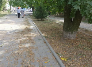 Долгожданный покос травы разочаровал таганрожца Долгожданный покос травы разочаровал таганрожца