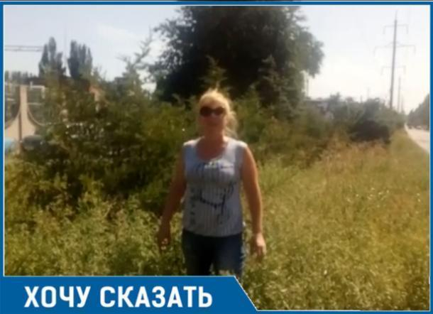 Травой зарос вьезд в Таганрог - на «радость» гостям и туристам Травой зарос вьезд в Таганрог - на «радость» гостям и туристам