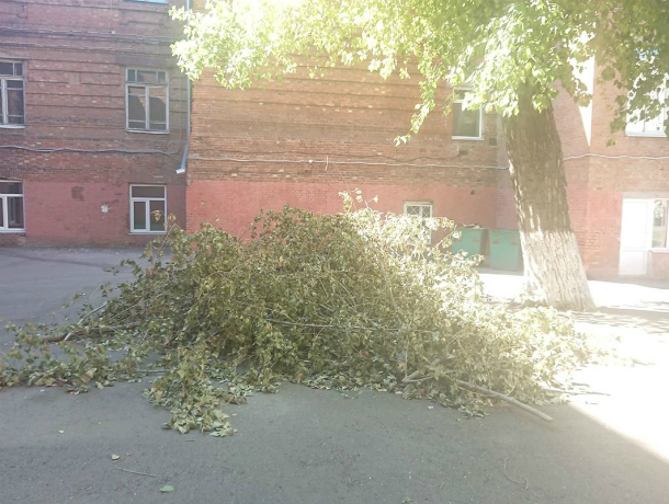 Горожанин возмутился, почему на территории школы в Таганроге валяются ветки Горожанин возмутился, почему на территории школы в Таганроге валяются ветки