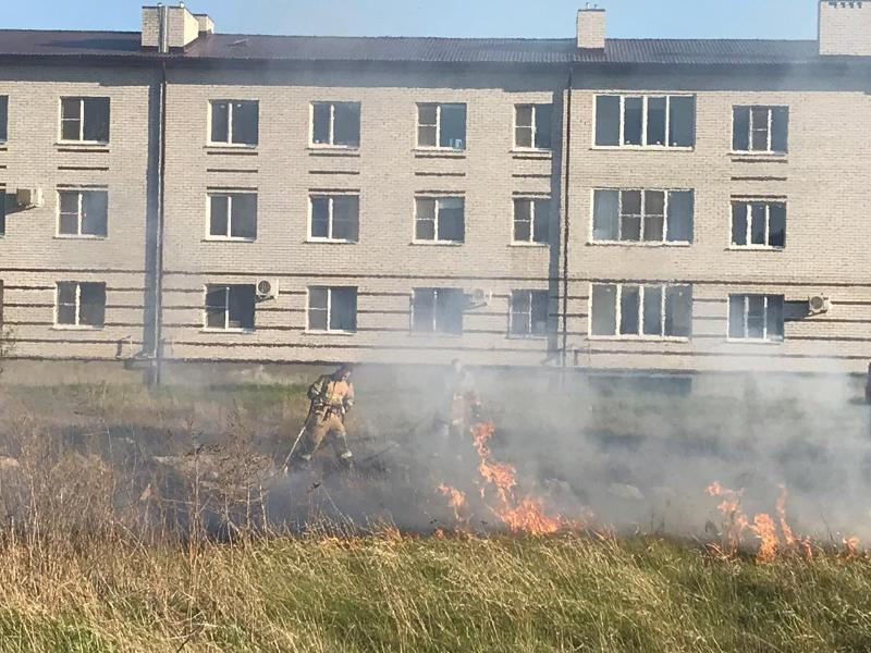 Штраф в двойном размере могут заплатить таганрожцы, которые поджигают сухую траву Штраф в двойном размере могут заплатить таганрожцы, которые поджигают сухую траву