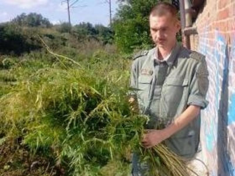 Казаки Таганрога снова уничтожили коноплю Казаки Таганрога снова уничтожили коноплю
