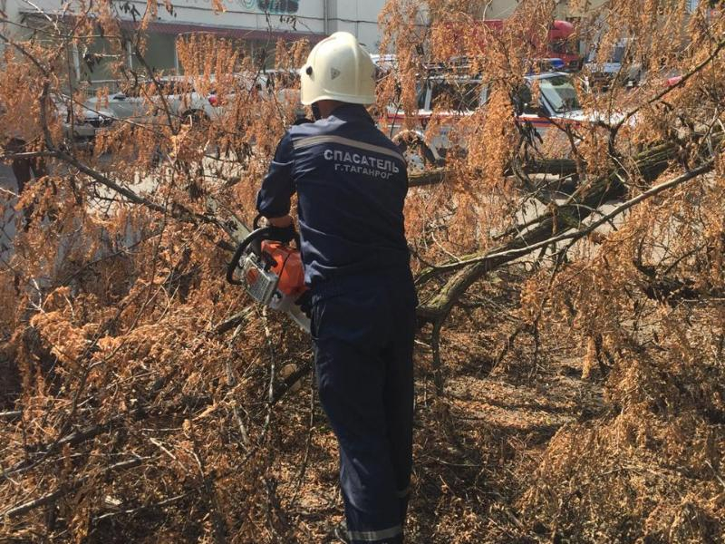 Помощь пришла откуда не ждали - спасатели Таганрога убрали сломанное дерево Помощь пришла откуда не ждали - спасатели Таганрога убрали сломанное дерево