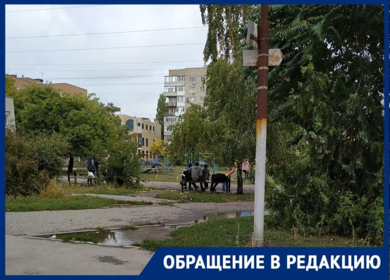 Детская площадка в Таганроге стала местом постоянного обитания алкоголиков Детская площадка в Таганроге стала местом постоянного обитания алкоголиков
