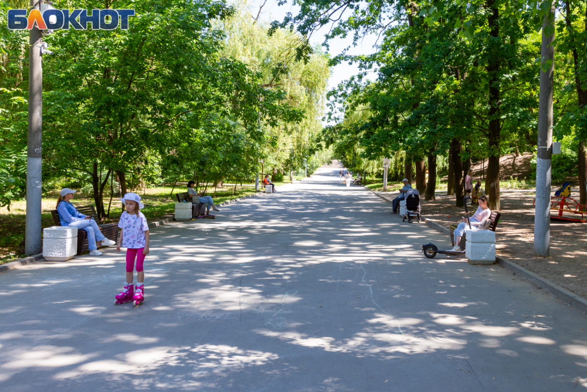 Преобразившаяся роща «Дубки» в Таганроге | 25.05.2024 | Таганрог -  БезФормата