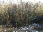 Таганрожцы оставляют после себя горы мусора