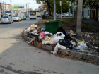 Жильцов домов по улице Чехова  беспокоит  накапливающийся  мусор