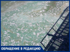 «Весь покрылся зеленью, абсолютно весь»: пятна на поверхности Таганрогского залива беспокоят горожан