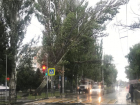Чудом удалось избежать трагедии – старое дерево упало на линии ЛЭП у школы Таганрога