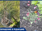 Детям обидно до слез – в Таганроге разрушили клумбу юных садоводов