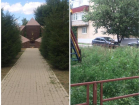 В Таганроге покосили сквер "Звезда", но детскую площадку через дорогу проигнорировали