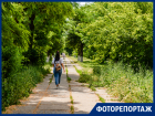 Как в Таганроге обстоят дела с покосом травы увидела фотограф "Блокнот Таганрог"